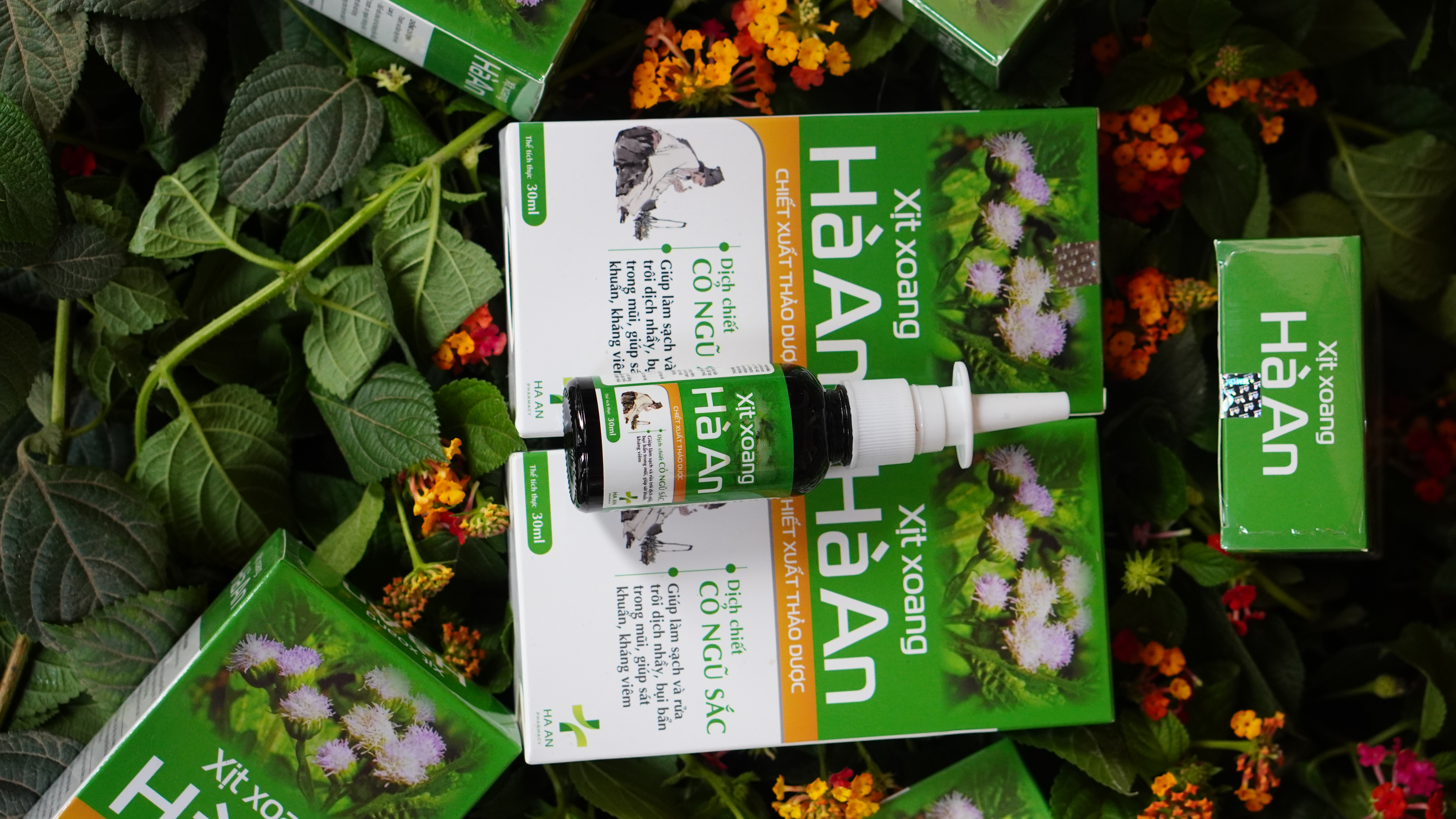 Hình ảnh sản phẩm Xịt xoang Hà An - hình 5