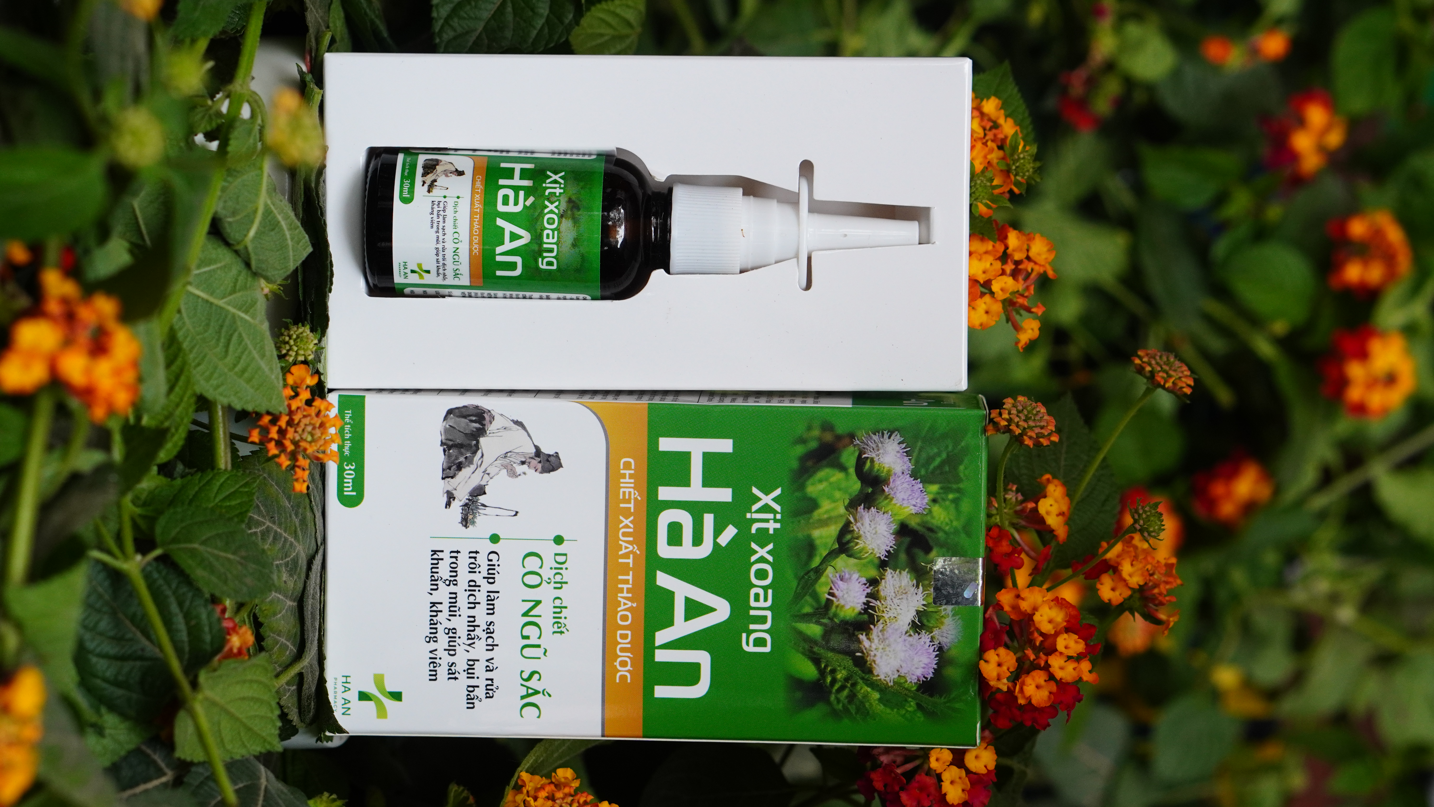 Hình ảnh sản phẩm Xịt xoang Hà An - hình 2