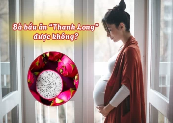 Bà bầu ăn thanh long được không? Những điều mẹ bầu cần biết