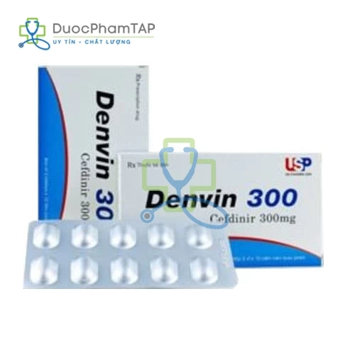 Denvin 300