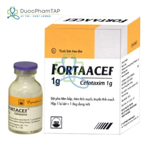 Fortaacef 2g Pymepharco