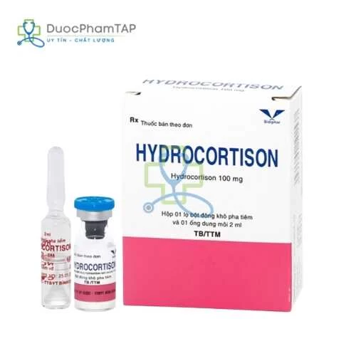 Hydrocortison 100mg Bidiphar