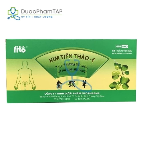 Kim tiền thảo- F Fitopharma