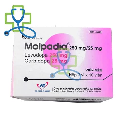 Molpadia 250mg/25mg - An Thiên Pharma