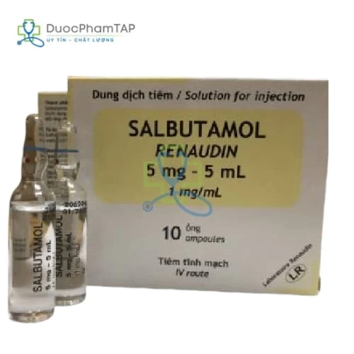 Salbutamol Renaudin 5mg/5ml Laboratoire Renaudin