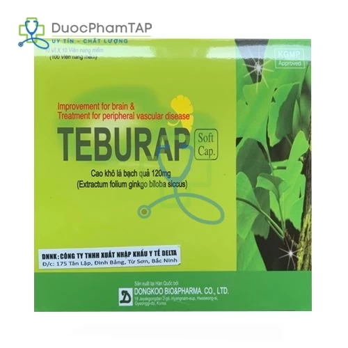 Teburap Soft Capsule - Ginkgo biloba leaf extract 120mg Dongkoo Pharm