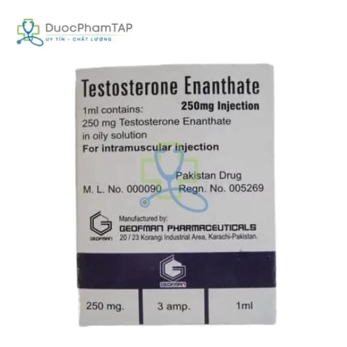 Testosterone Enanthate 250mg Injection Geofman Pharma