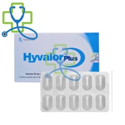 Hyvalor Plus