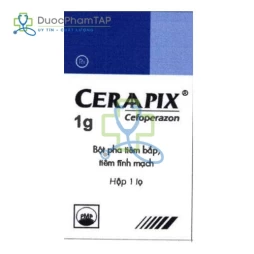 Ceraapix 1g