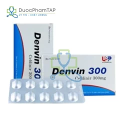 Denvin 300