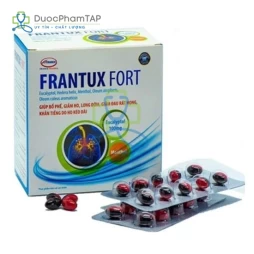 Frantux Fort