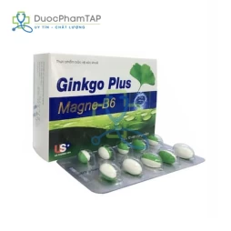 Ginkgo Plus Magne-B6