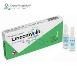 Lincomycin 600 - Lincomycin 600mg Vinphaco