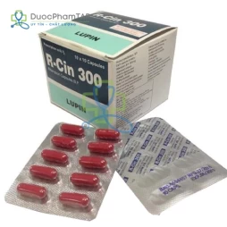 R-Cin 300 Lupin