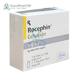 Rocephin 1g I.V - Ceftriaxone Roche