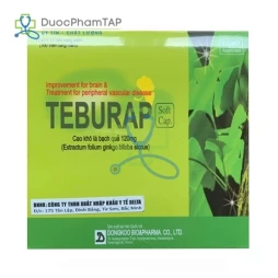 Teburap Soft Capsule - Ginkgo biloba leaf extract 120mg Dongkoo Pharm