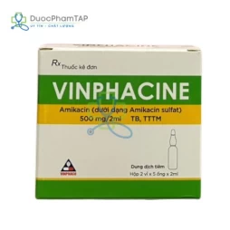 Vinphacine - Amikacin 500mg Vinphaco